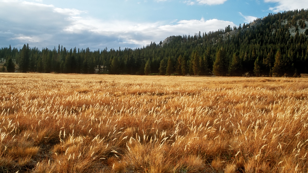 DIA_USA2002_001 1080.jpg - Tuolumne Meadows, Yosemite National Park